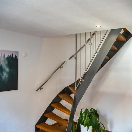 Traube Apartment Schiltach
